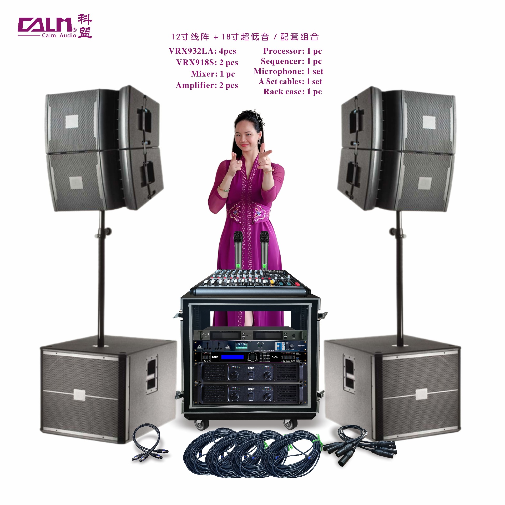12寸線陣+18寸超低 配套組合