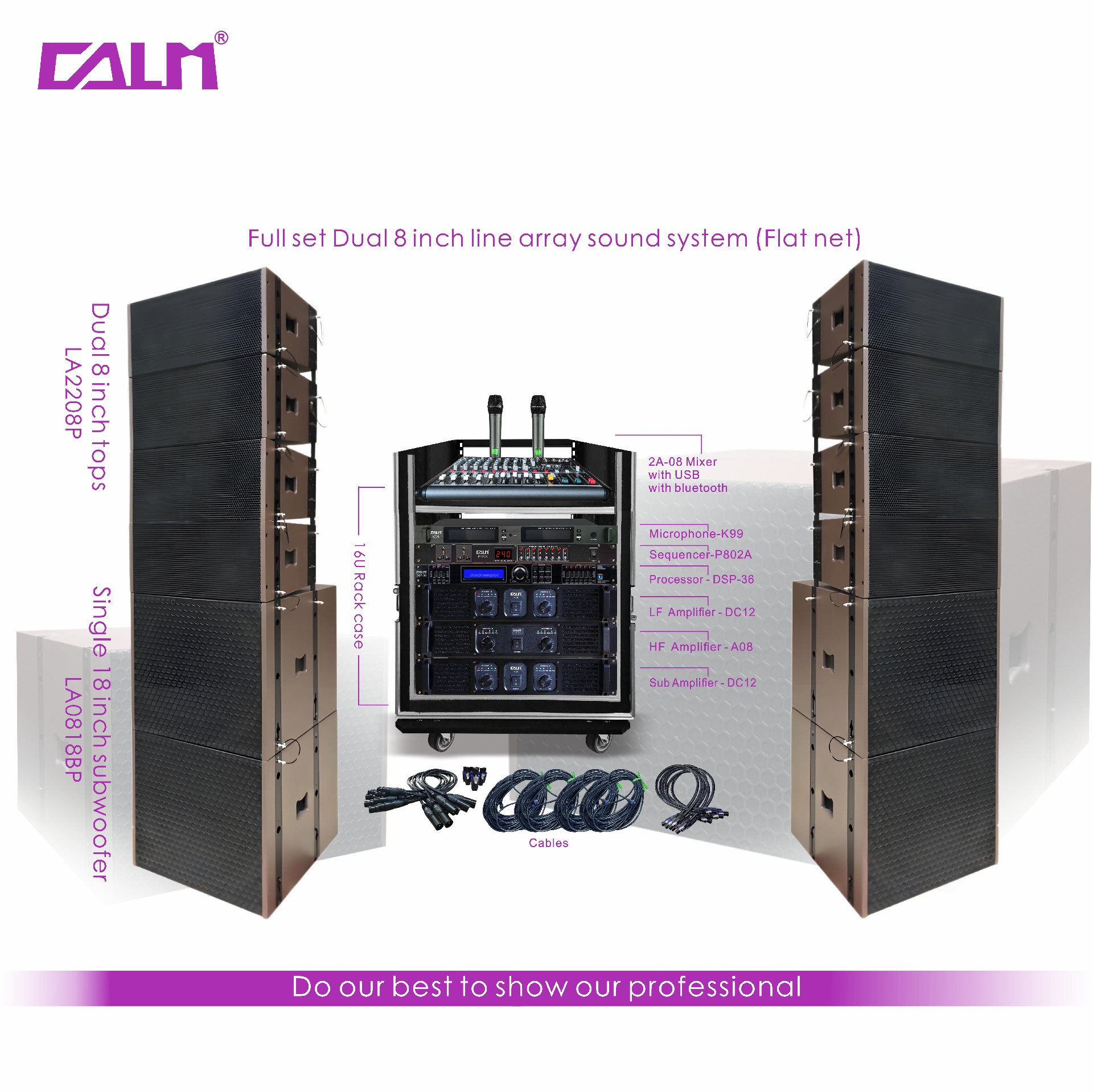 Full set Dual 8 inch line array sound system (Flat net)
