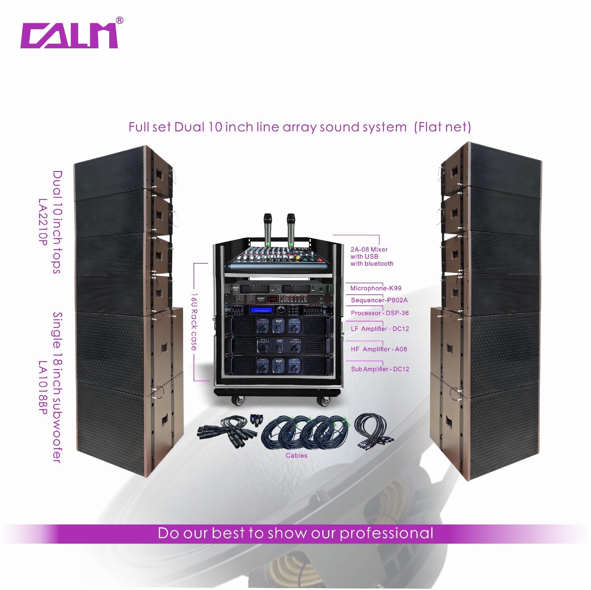 Full set Dual 10inch line array sound system (Flat net)