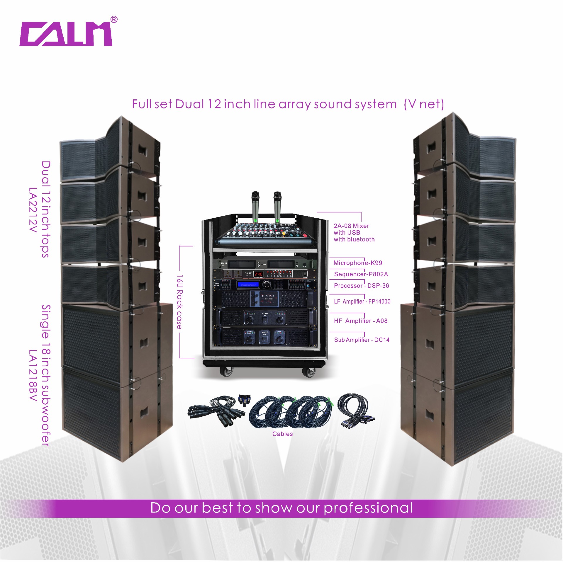 Full set Dual 12inch line array sound system (V net)